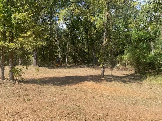 LOT 7R-1 N Private Road 52416 Road, Leesburg, TX 75451 - #3