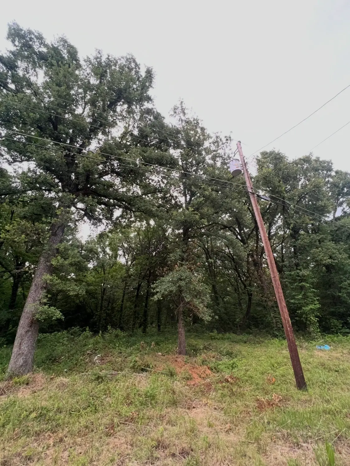 117 Inca Trail, Mabank, TX 75156 - #1