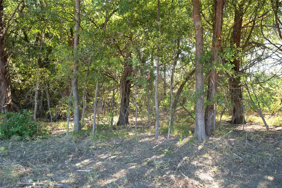 77 County Road 42351, Paris, TX 75462 - #3