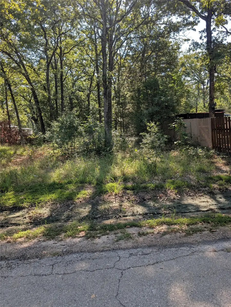 202 Chillacothe Trail, Mabank, TX 75156 - #3
