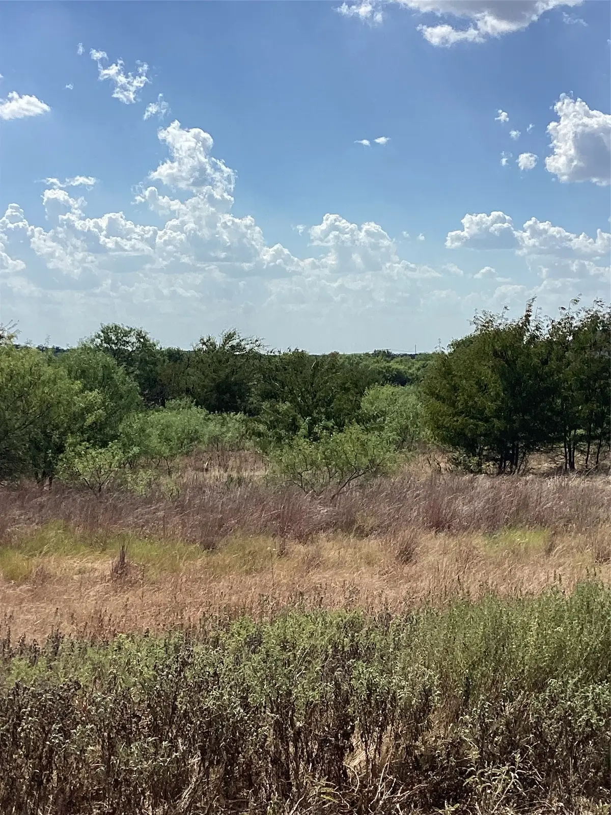 808 San Jacinto Drive, Aledo, TX 76008 - #1