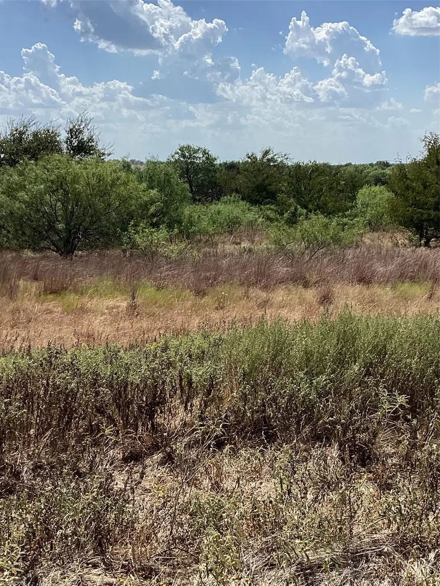 808 San Jacinto Drive, Aledo, TX 76008 - #2