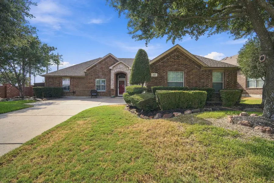 501 Branchwood Drive, Midlothian, TX 76065 - #3