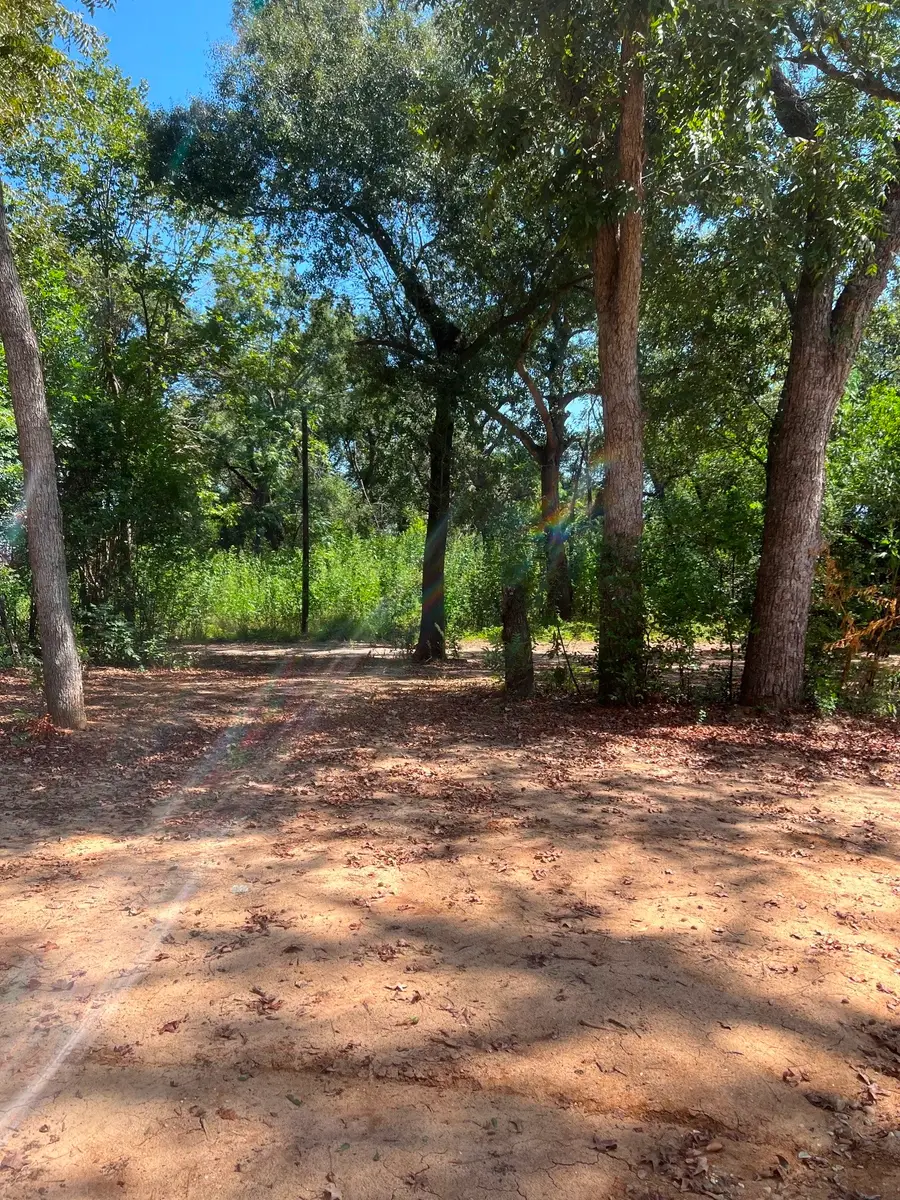 3778 Hwy 14, Mexia, TX 76667 - #2