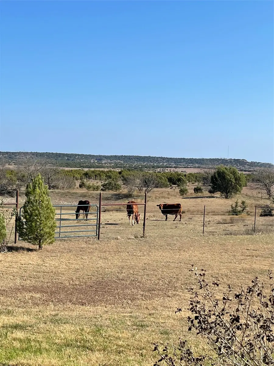 2473 Cr 199, Iredell, TX 76649 - #2