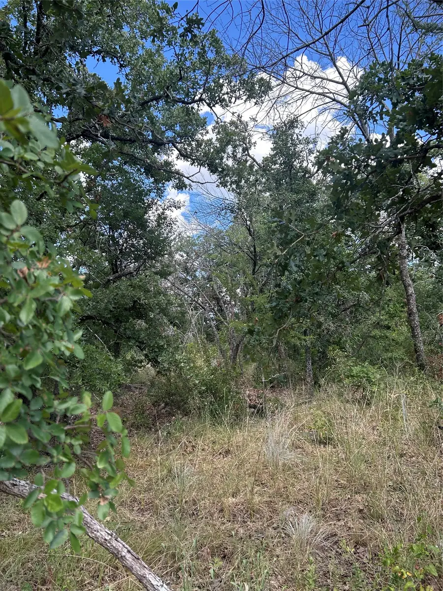 4 Haynie Drive, Runaway Bay, TX 76426 - #2