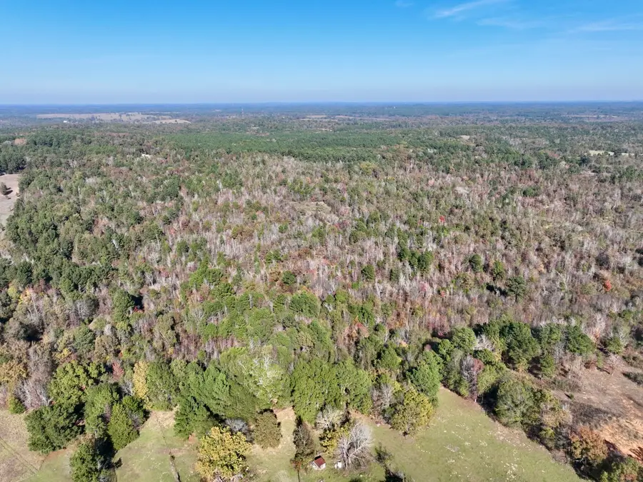 21695 County Road 240, Tyler, TX 75705 - #2