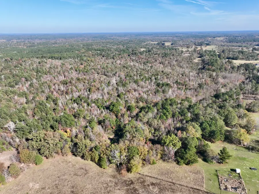 21695 County Road 240, Tyler, TX 75705 - #3