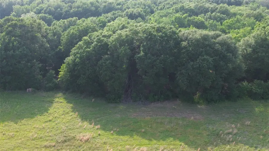 LOT 5 County Road 4072, Kemp, TX 75143 - #3