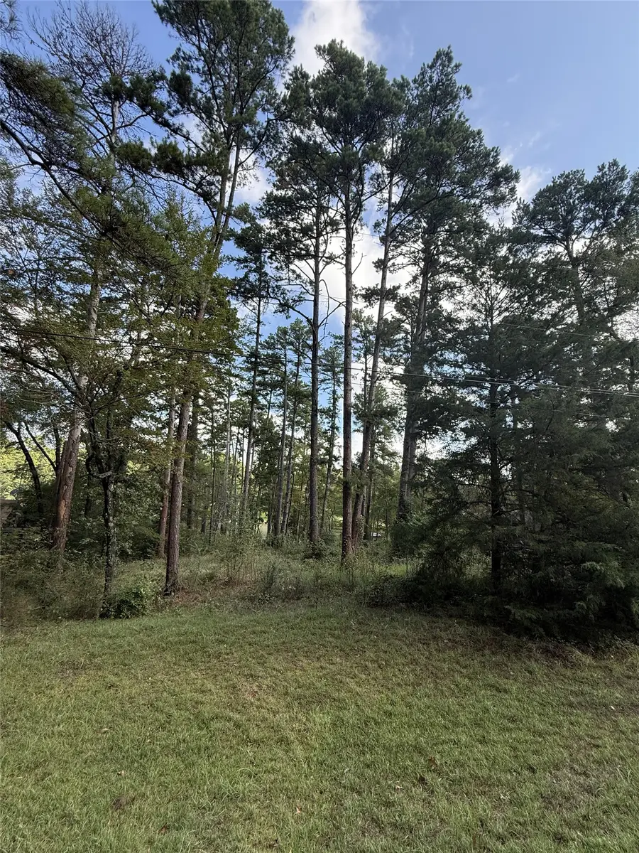 13254 County Road 468, Tyler, TX 75704 - #3