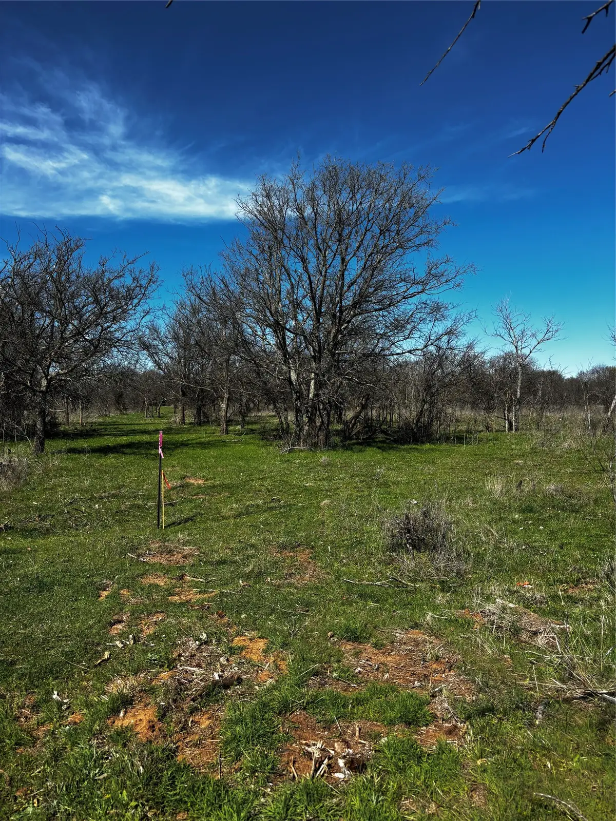 382 High Plains Court, Bellevue, TX 76230 - #1