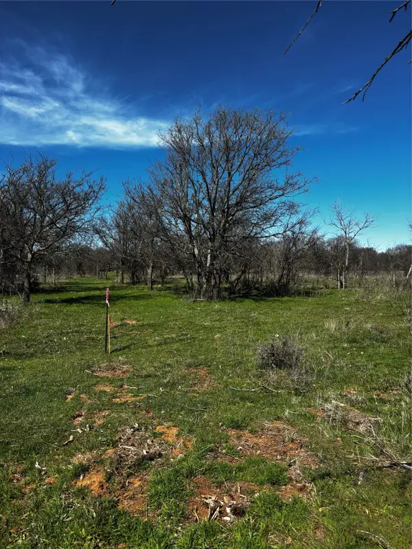 382 High Plains Court, Bellevue, TX 76230