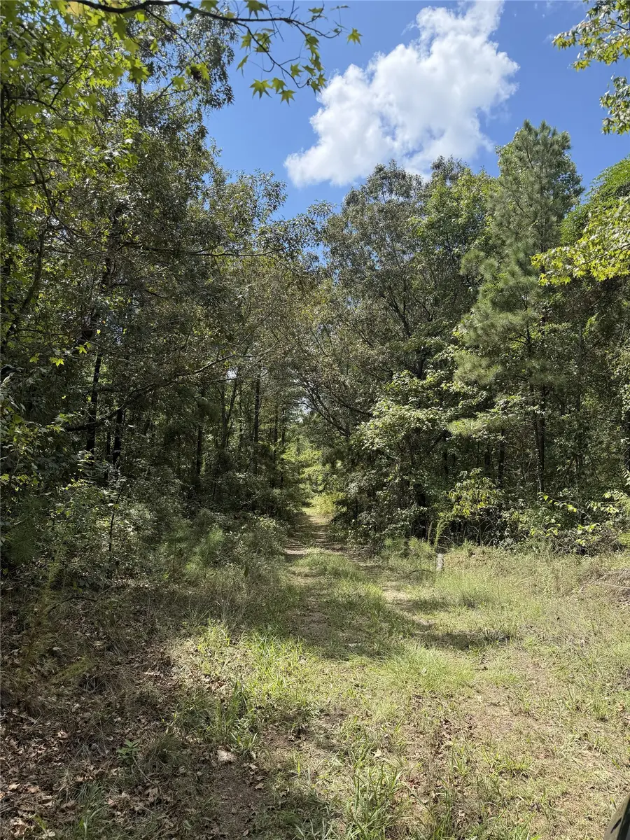 0 Asseff Road, Mansfield, LA 71052 - #2