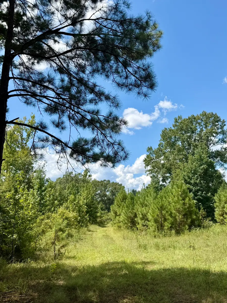 0 Asseff Road, Mansfield, LA 71052 - #3