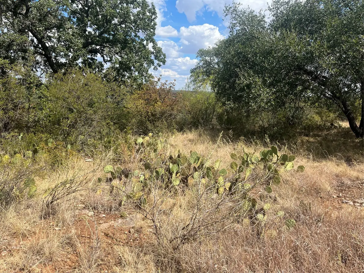 TBD Fm 2632 N, Brownwood, TX 76801 - #1
