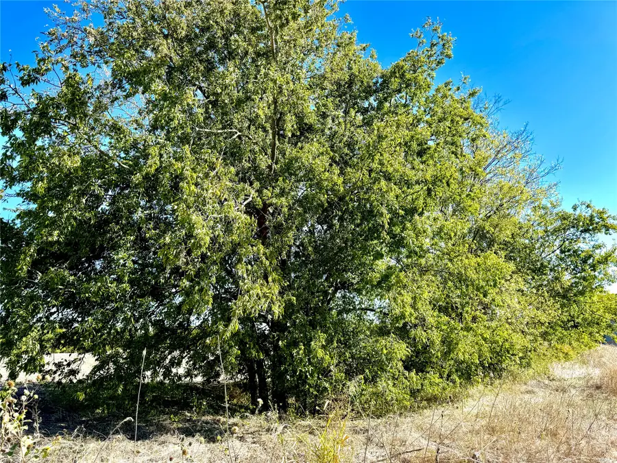 Lot 10 County Road 590, Nevada, TX 75173 - #2