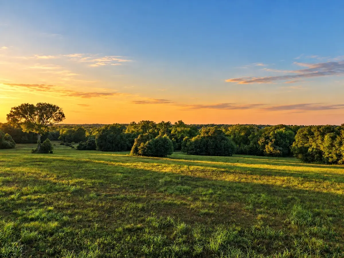 10277 Mount Falls School Road, Washington, TX 77880 - #1