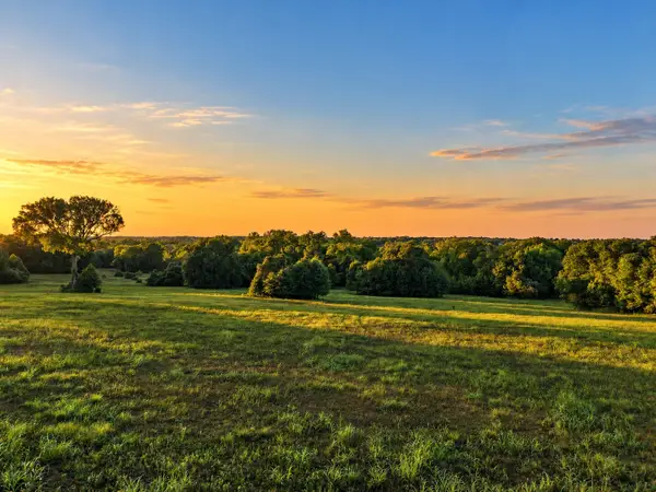 10277 Mount Falls School Road, Washington, TX 77880