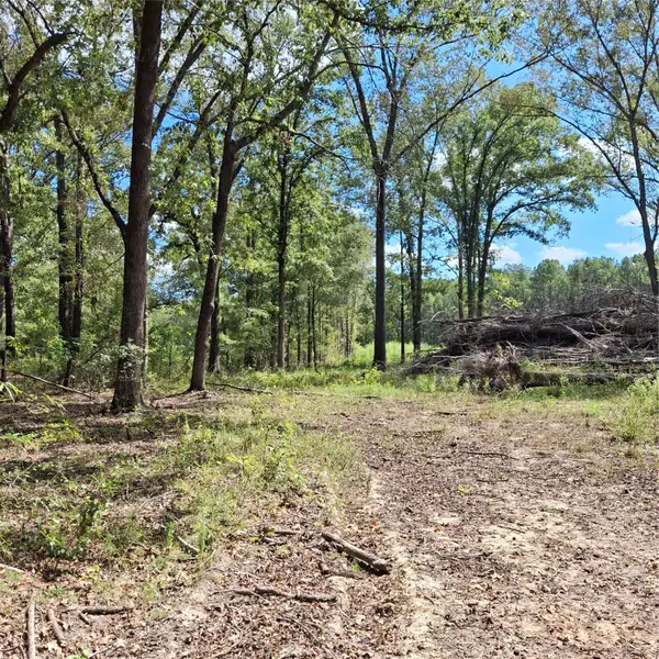 1068 Goathill Road, Elm Grove, LA 71051