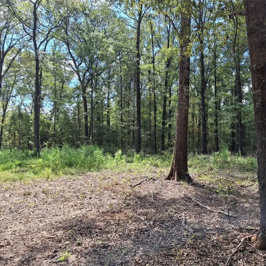 1068 Goathill Road, Elm Grove, LA 71051 - #2