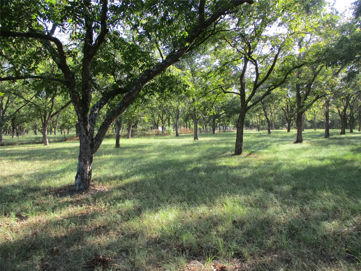 160 Rains County Road 2181, Emory, TX 75440 - #1