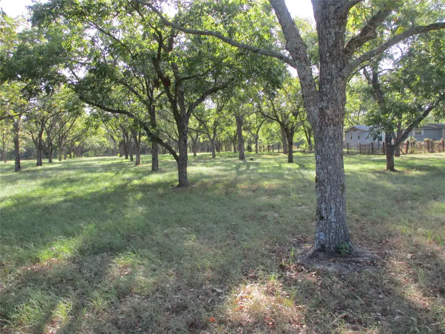 160 Rains County Road 2181, Emory, TX 75440 - #2