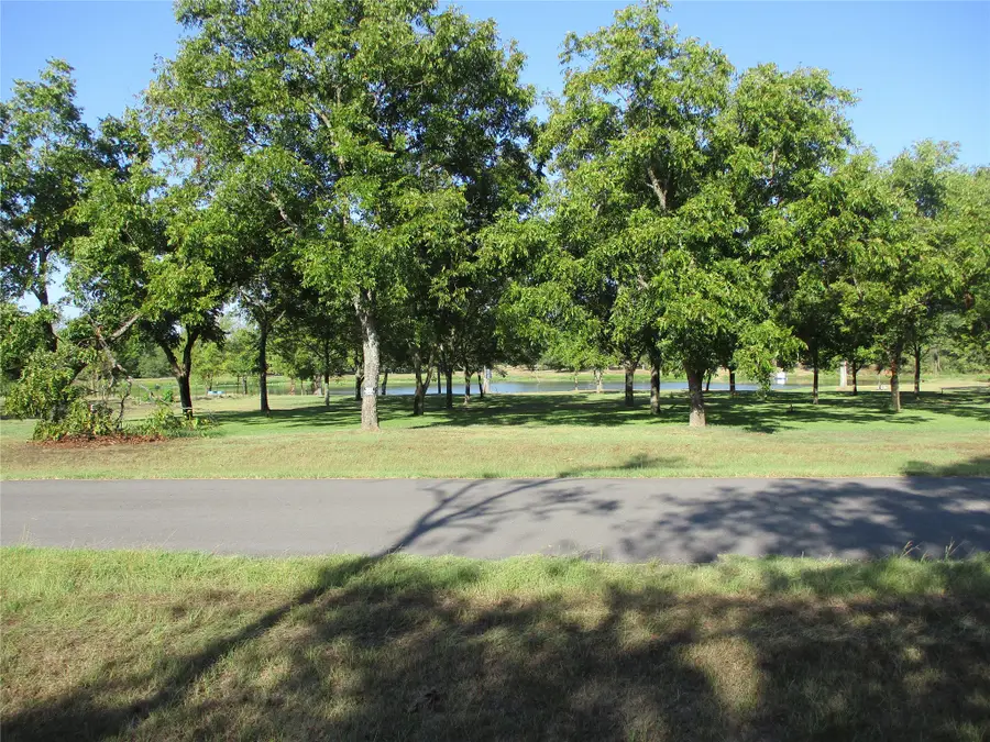 160 Rains County Road 2181, Emory, TX 75440 - #3