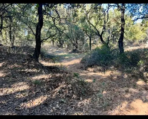 TBD County Road 357, Gorman, TX 76454 - #1