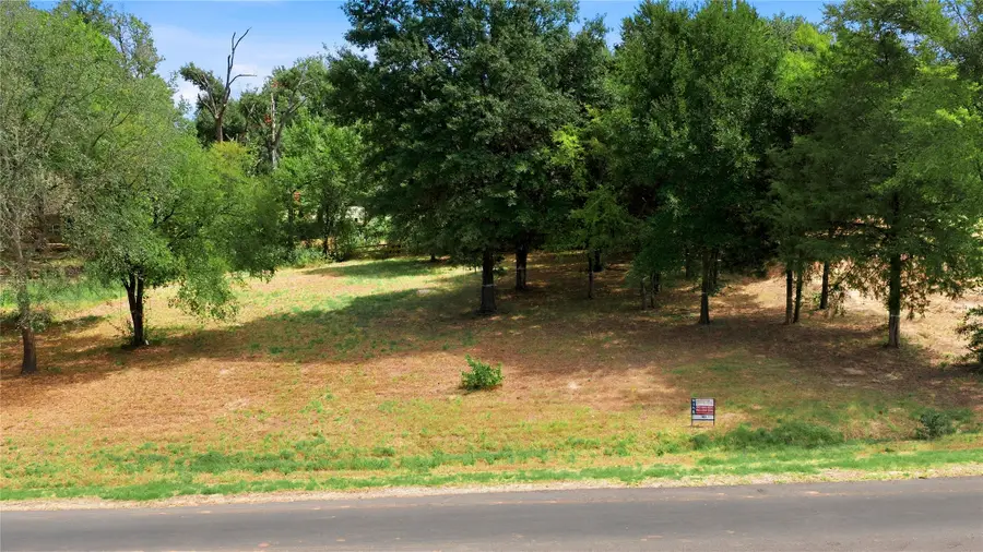 703 Clubview Drive, Cedar Creek Lake, TX 75143 - #2