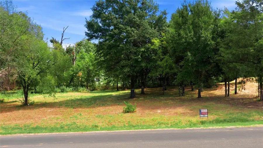 703 Clubview Drive, Cedar Creek Lake, TX 75143 - #3