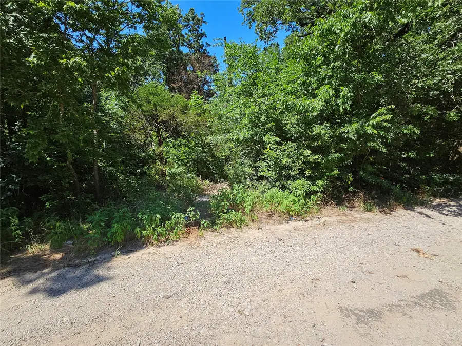 Lot 2 Bird Hill Drive, Quinlan, TX 75474 - #2