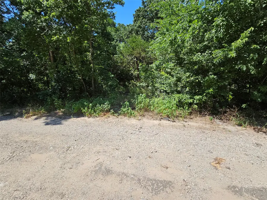 Lot 2 Bird Hill Drive, Quinlan, TX 75474 - #3