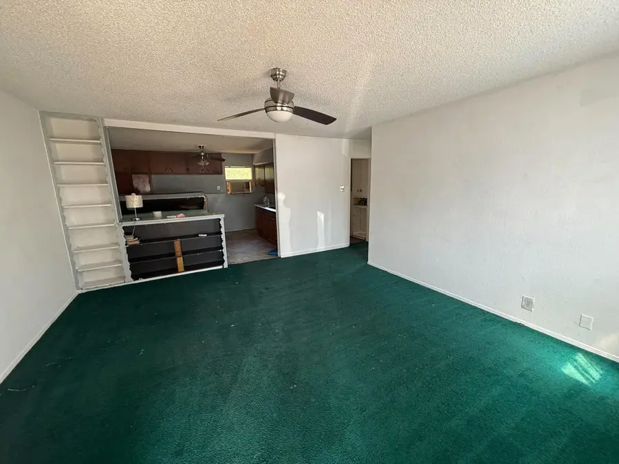 1055 W Star Street, Denison, TX 75020 - #3