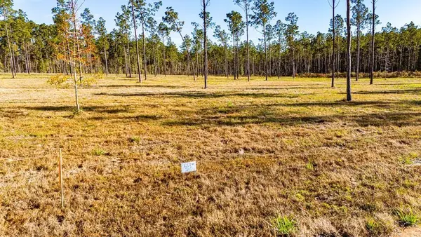 20 Big Buck Drive, Moscow, TX 75960