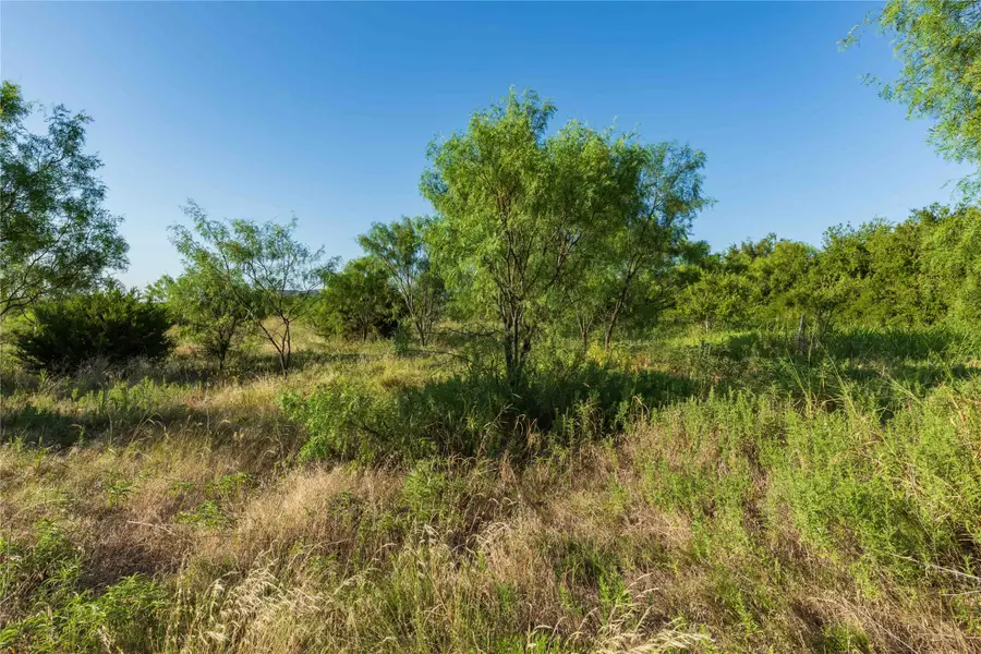 TBD CR 250 County Road 250, Ovalo, TX 79541 - #2