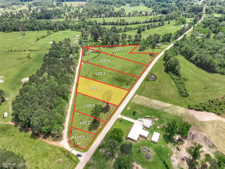 06 Percy Burns Road, Springhill, LA 71075 - #2
