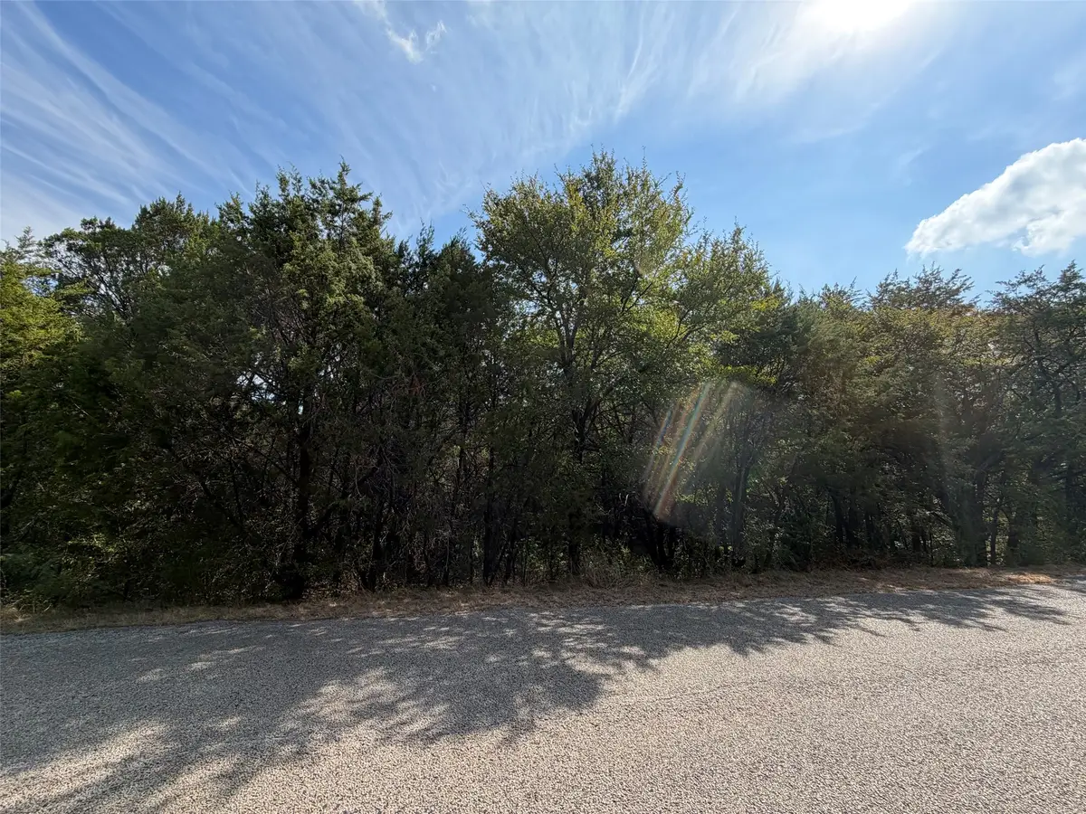 3633 Flint Rock Circle, Granbury, TX 76048 - #1