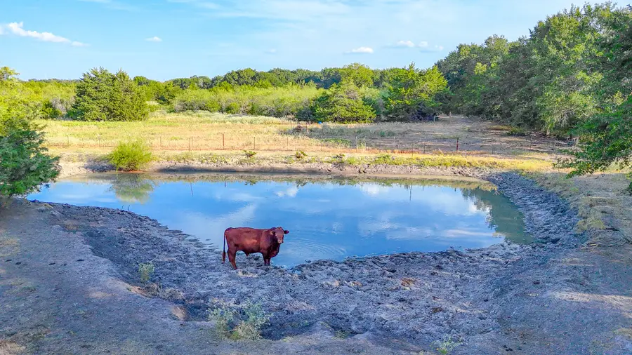 TBD County Road 2190, Kerens, TX 75144 - #2