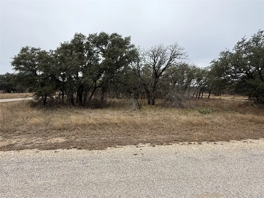TBD 941 Feather Bsy Drive, Brownwood, TX 76801 - #2