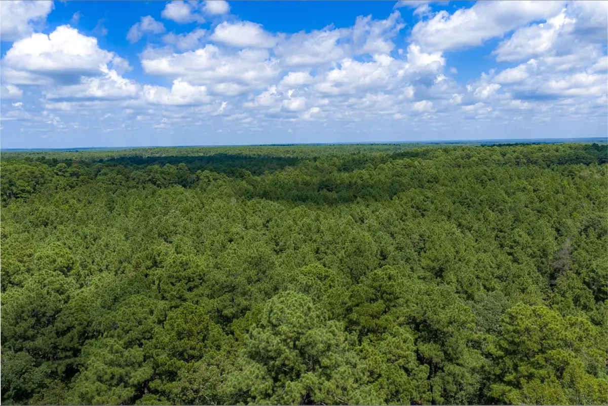 NE Off Of Fm 227, Kennard, TX 75847 - #1