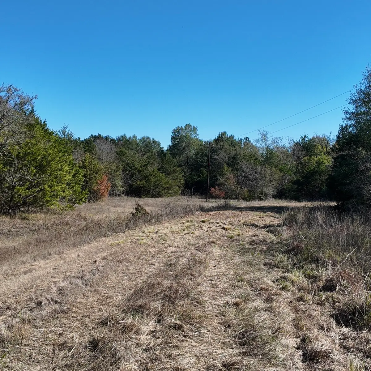 1703 County Road 4901, Wolfe City, TX 75496 - #1