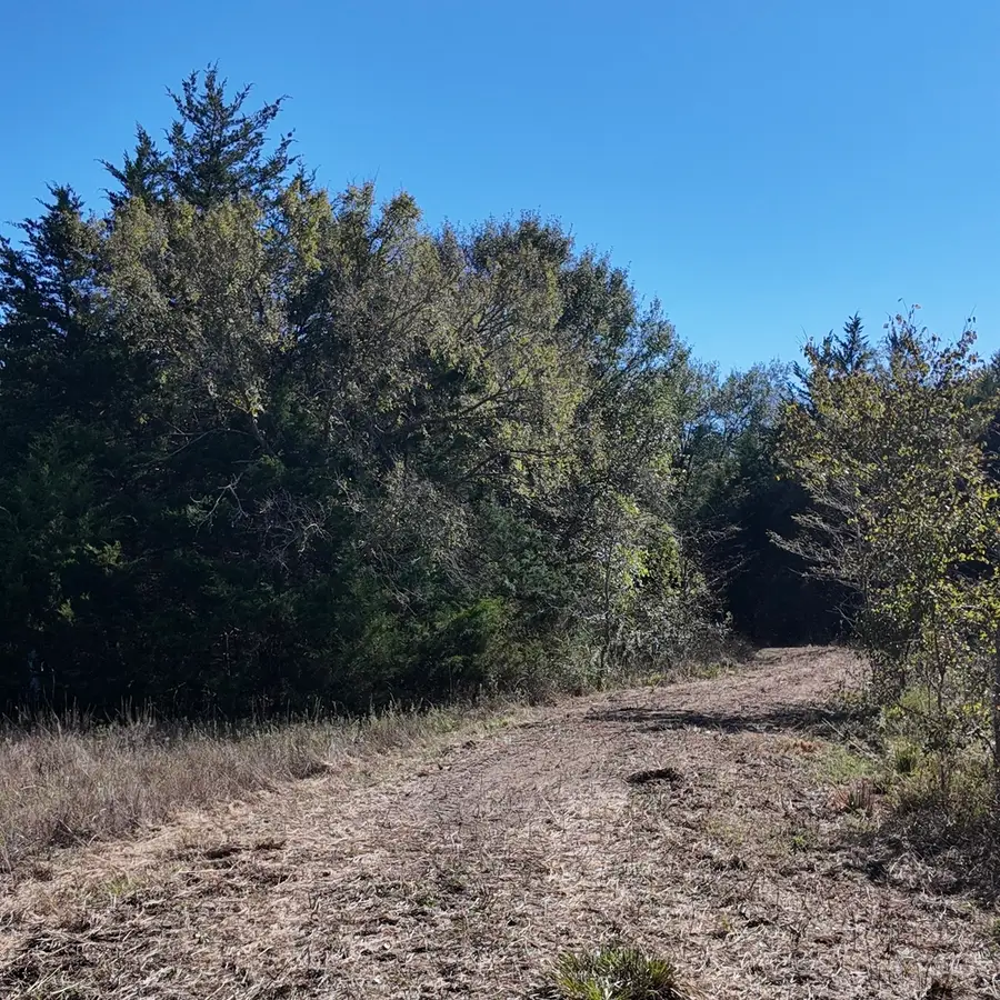 1703 County Road 4901, Wolfe City, TX 75496 - #3