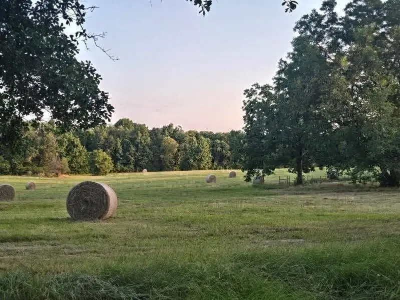 20086 County Road 299, Arp, TX 75750 - #1
