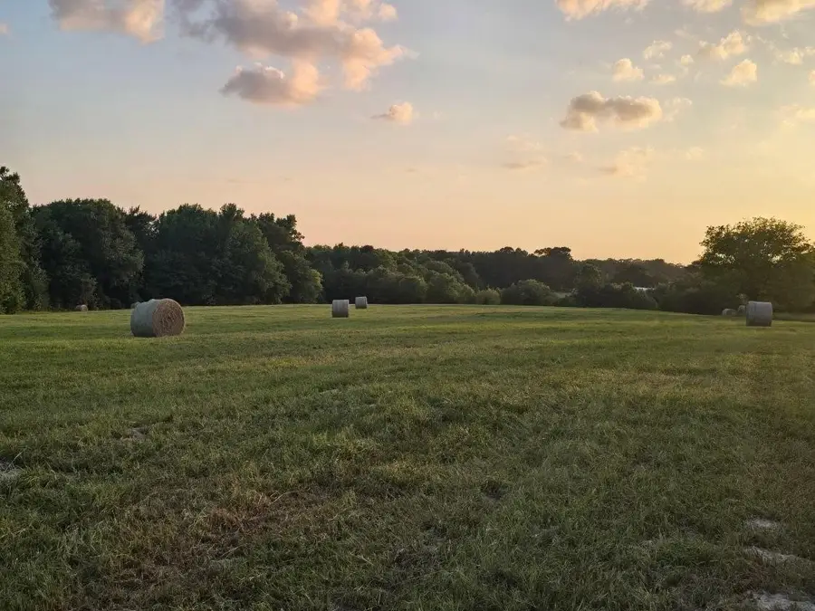 20086 County Road 299, Arp, TX 75750 - #2