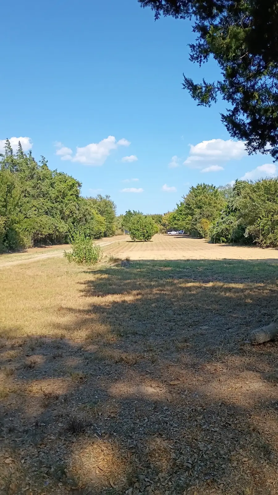 1703 County Road 2101, Kemp, TX 75143 - #3