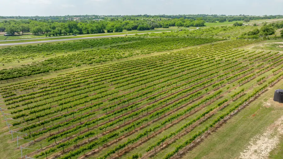675 County Road 497 A, Dublin, TX 76446 - #3