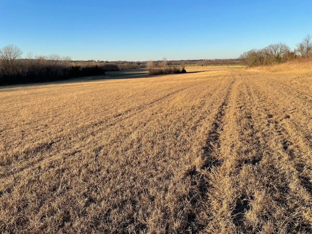 61.96ac Mary Fitch Road, Tom Bean, TX 75090 - #1