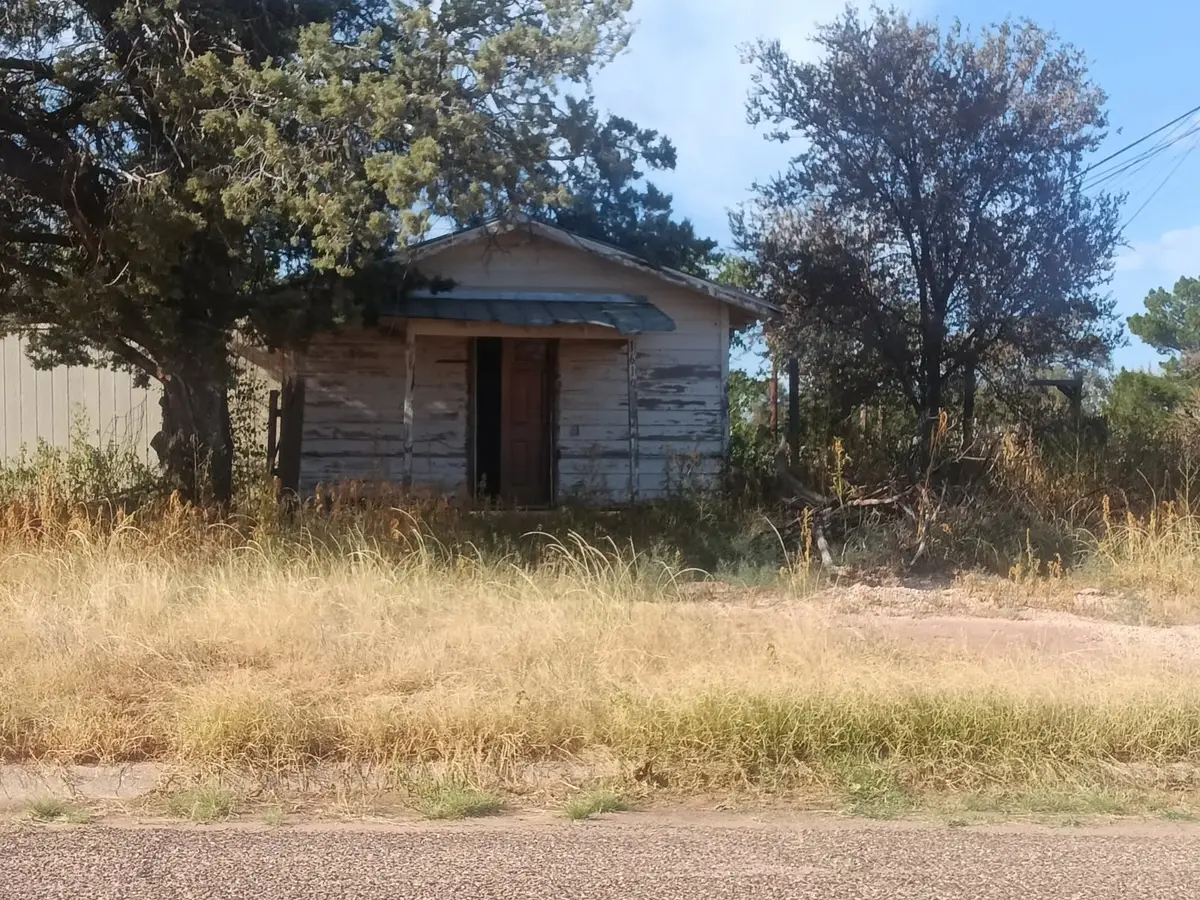 1610 S 5th Street, Tahoka, TX 79373 - #1