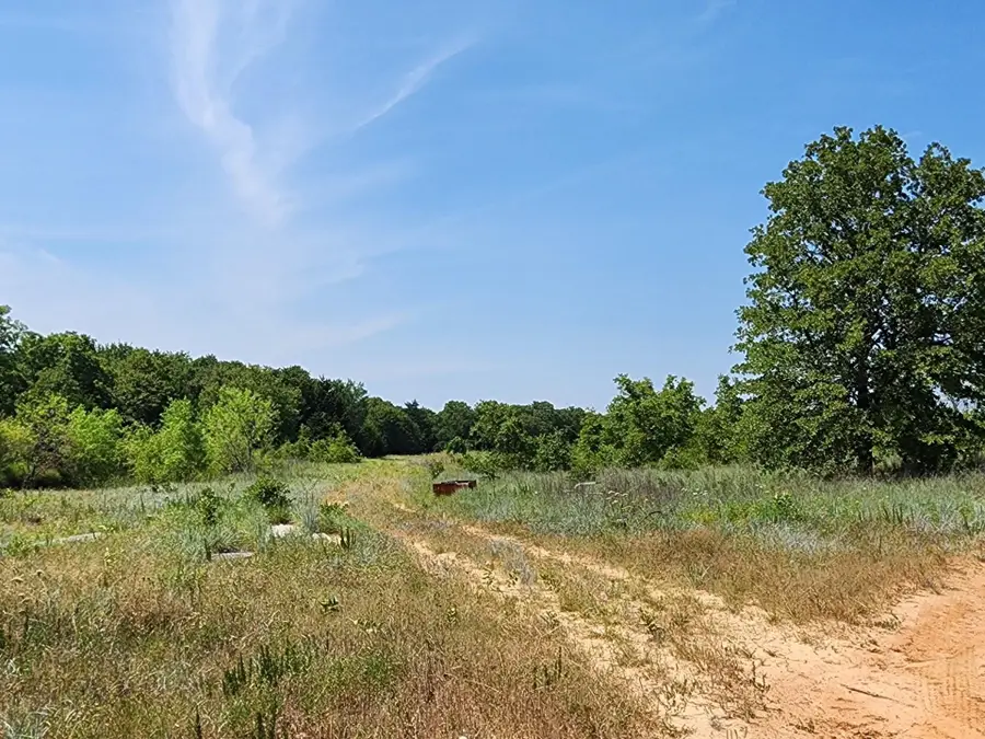 301 Timber Trail, Alvord, TX 76225 - #2