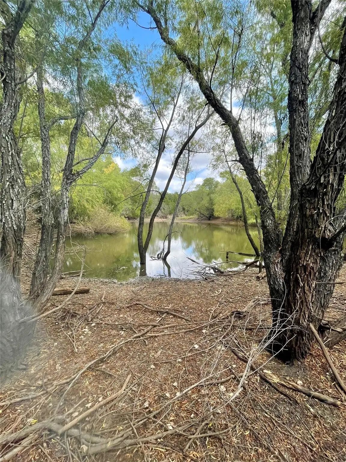 334 Greanead Road, Forestburg, TX 76239 - #1